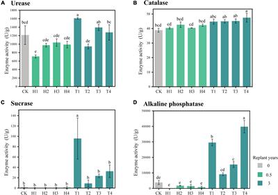 Rhizosphere Microbial Community Diversity and Function Analysis of Cut Chrysanthemum During Continuous Monocropping